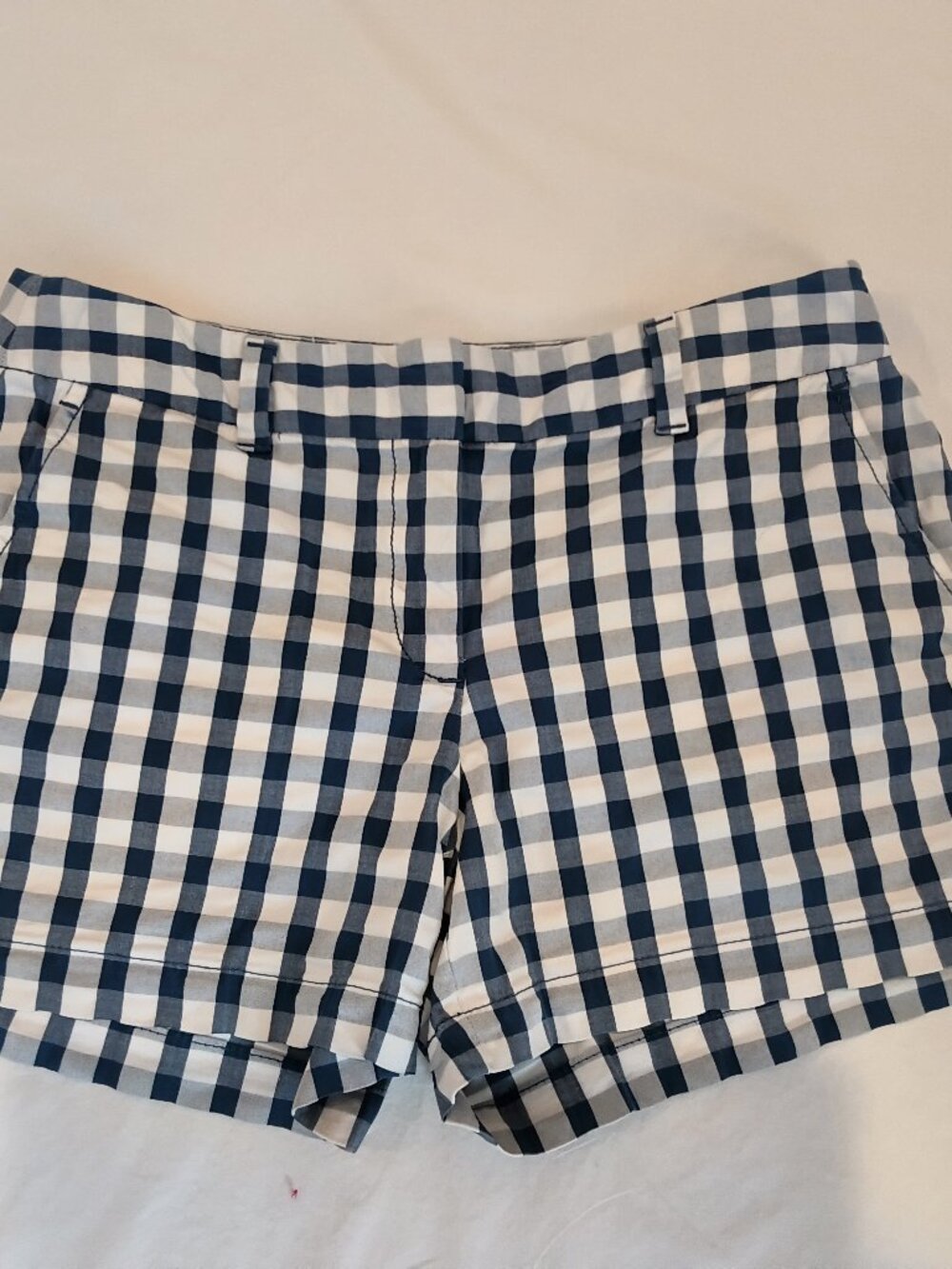 Ann Taylor LOFT  Women's Shorts Gingham Plaid  Blue and White  Size 2